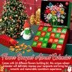 Advent Calendar for Kids Adults Teens, 24 Days STEM Flower Bouquet Building Blocks Christmas Countdown Calendar Gifts Box with Artificial Flowers Bricks Toy Set for Boys Girls Women Men Age 6 Up