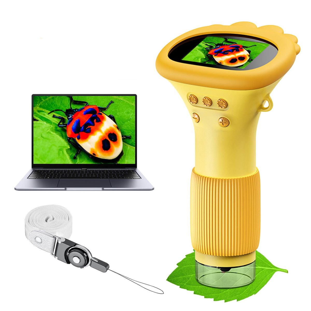 https://img.bestdeals.co.nz/products_pictures/842/84203_809665_F.jpg