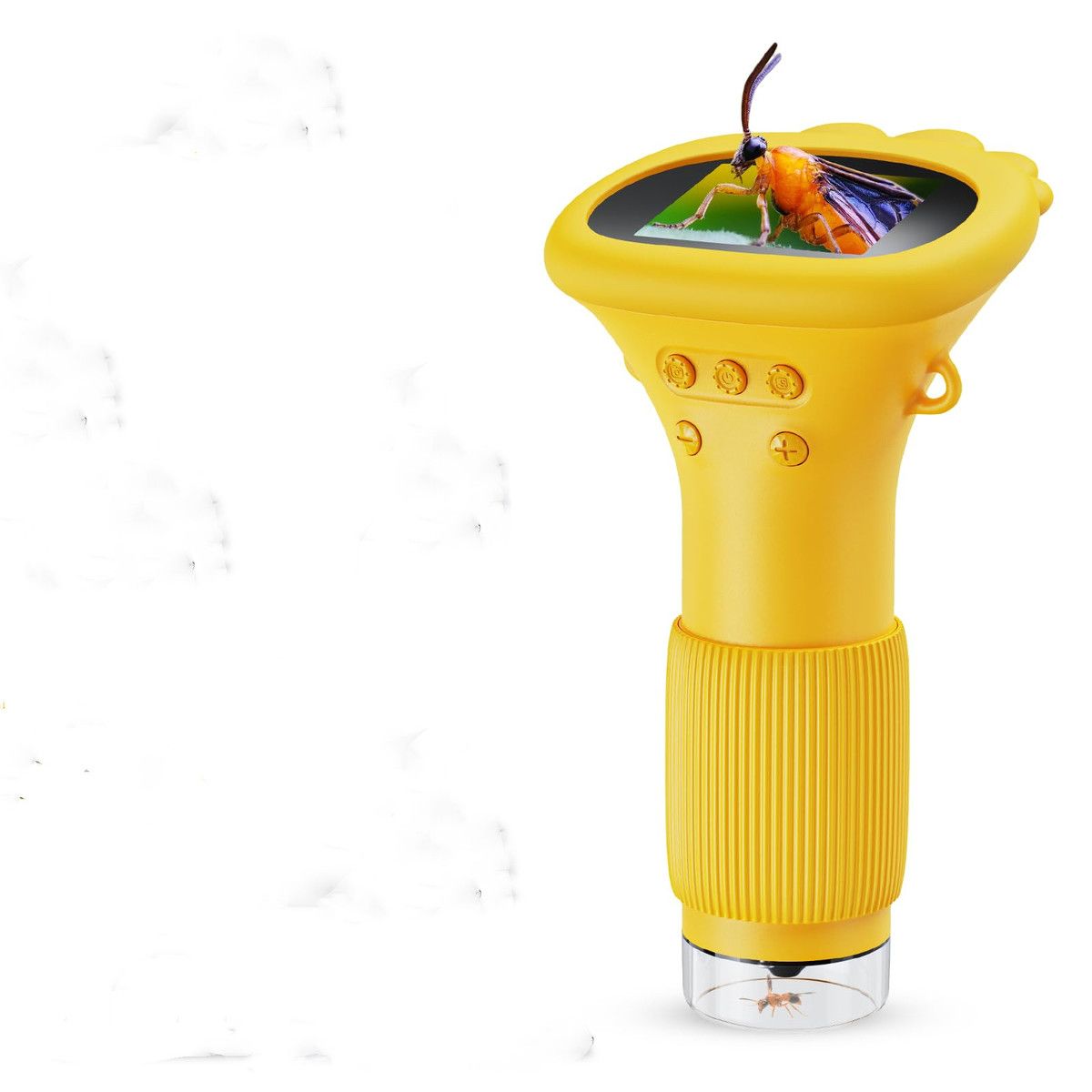 https://img.bestdeals.co.nz/products_pictures/842/84203_809681_F.jpg