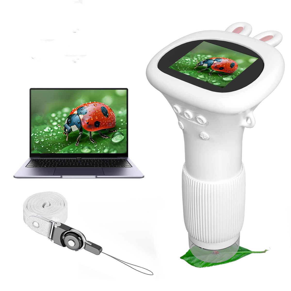 https://img.bestdeals.co.nz/products_pictures/842/84204_809682_F.jpg