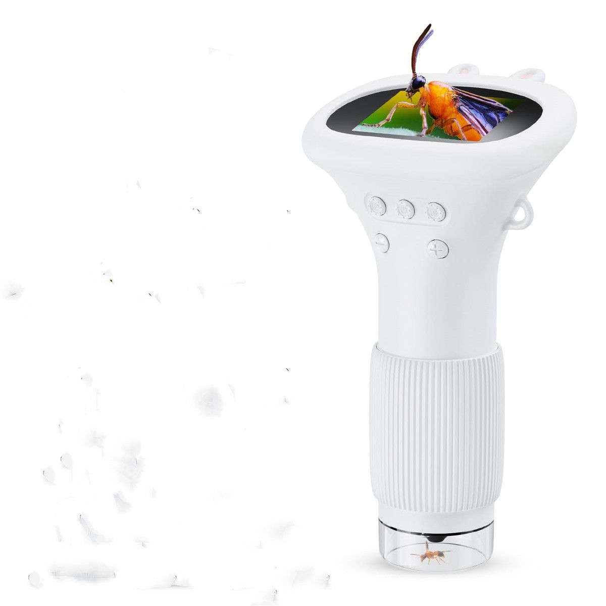 https://img.bestdeals.co.nz/products_pictures/842/84204_809692_F.jpg