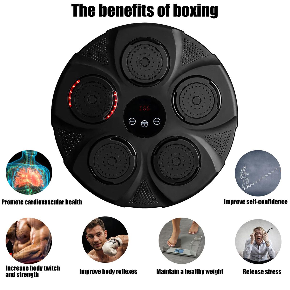 https://img.bestdeals.co.nz/products_pictures/842/84272_810401_F.jpg
