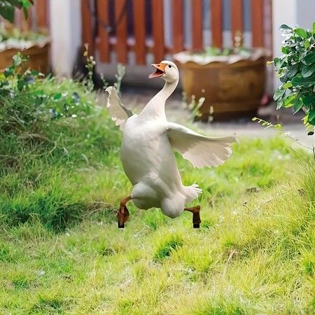 https://img.bestdeals.co.nz/products_pictures/844/84447_812169_F.jpg
