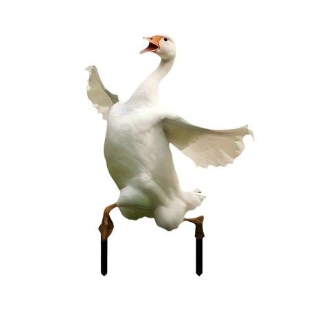 https://img.bestdeals.co.nz/products_pictures/844/84447_812172_F.jpg