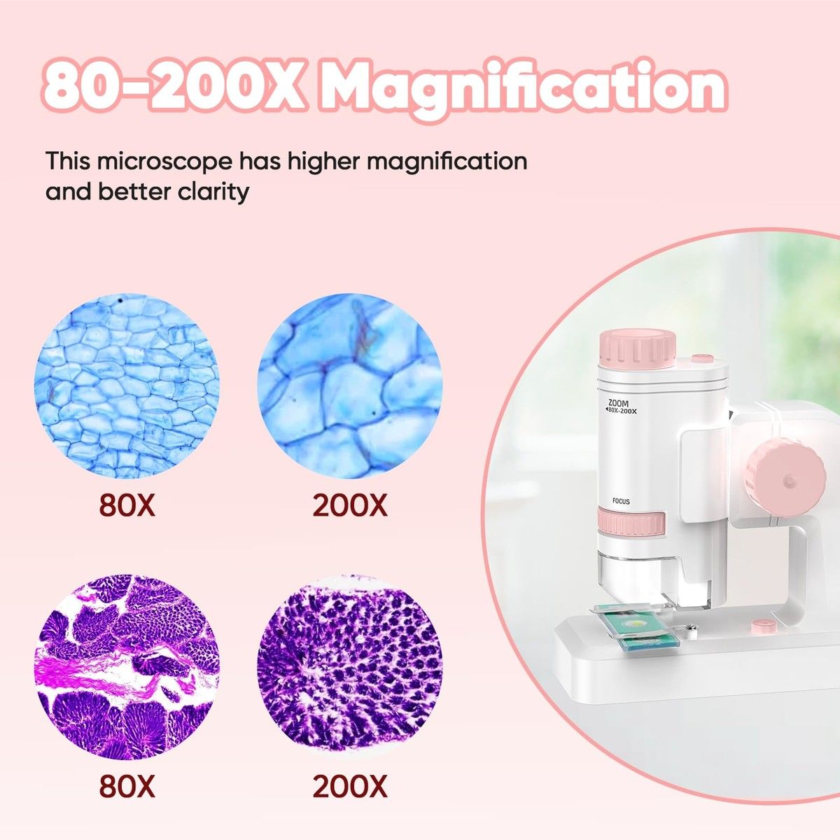 https://img.bestdeals.co.nz/products_pictures/845/84521_812910_F.jpg
