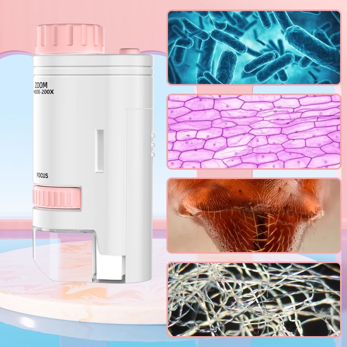 https://img.bestdeals.co.nz/products_pictures/845/84521_812913_F.jpg
