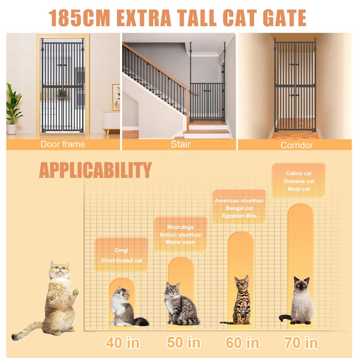 https://img.bestdeals.co.nz/products_pictures/846/84611_813989_F.jpg