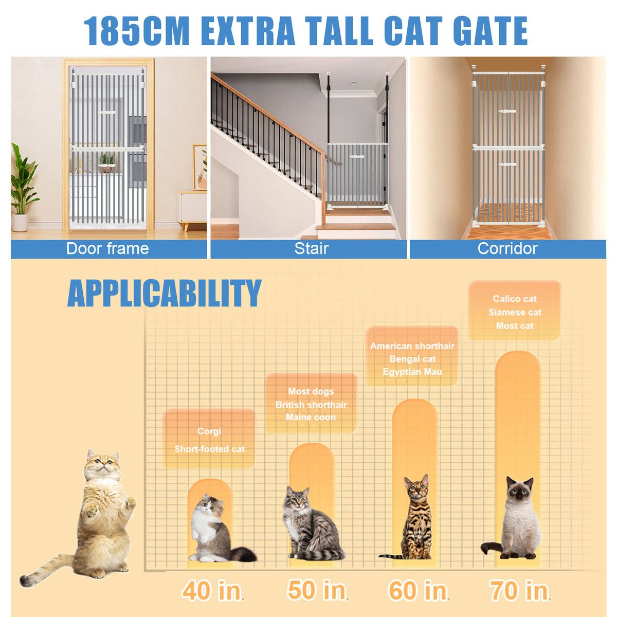 https://img.bestdeals.co.nz/products_pictures/846/84612_814010_F.jpg