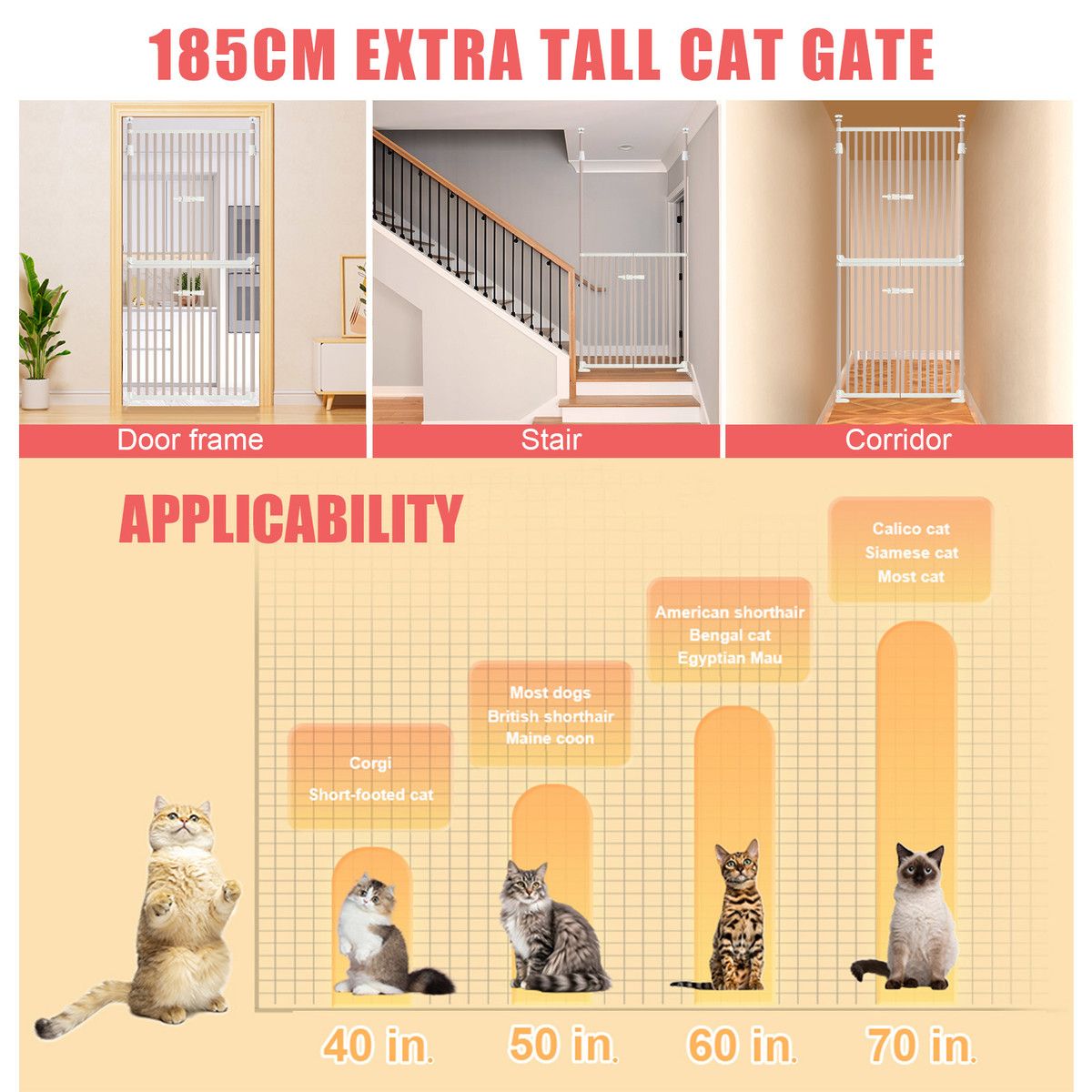 https://img.bestdeals.co.nz/products_pictures/846/84613_814031_F.jpg