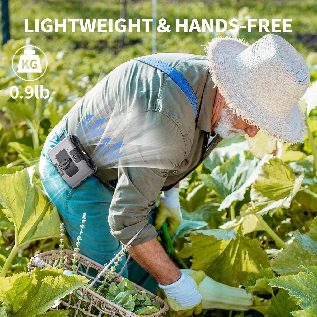 https://img.bestdeals.co.nz/products_pictures/846/84669_814675_F.jpg
