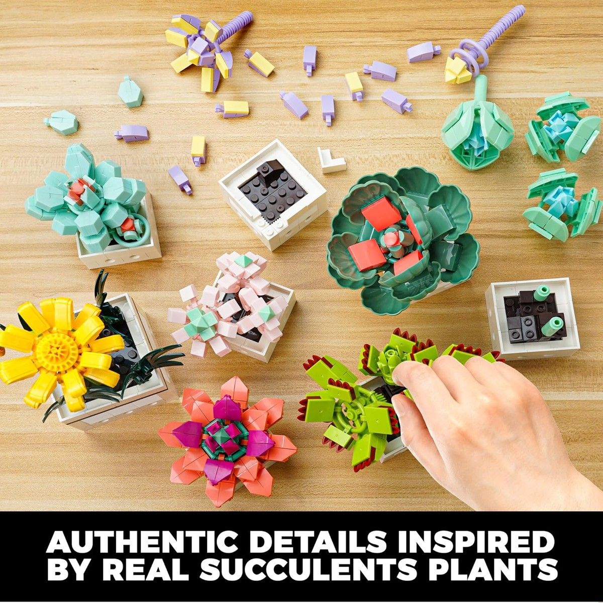 https://img.bestdeals.co.nz/products_pictures/846/84699_815020_F.jpg