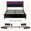Queen Size Bed Frame Mattress Base Bedroom Furniture Upholstered Foundation Platform PU Wooden Metal with RGB Storage