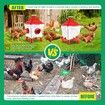 Chicken Bird Feeder Waterer Set Auto Food Water Dispenser Automatic Feeding Poultry Chook Coop Fence Drinker Cup Gravity Fed Drinking 8KG 8L
