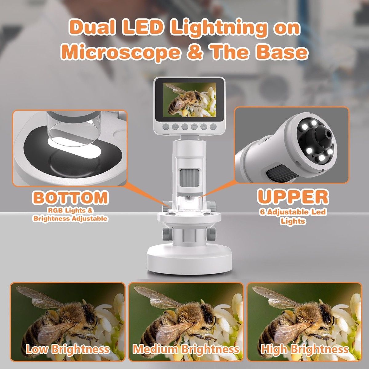 https://img.bestdeals.co.nz/products_pictures/847/84787_816155_F.jpg