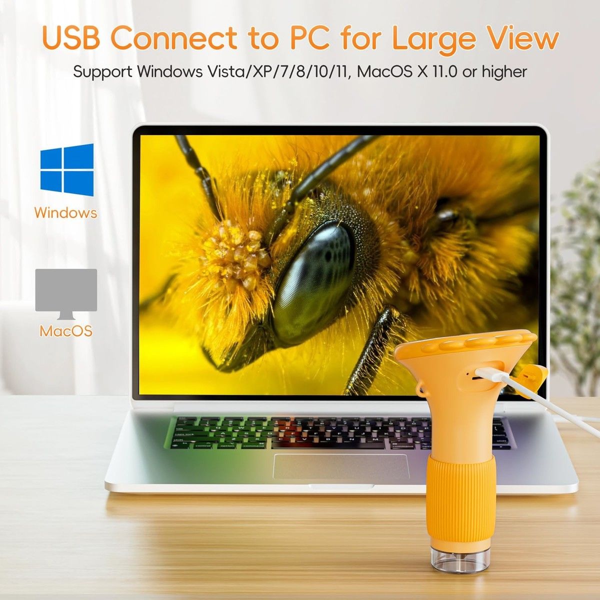 https://img.bestdeals.co.nz/products_pictures/849/84966_818260_F.jpg