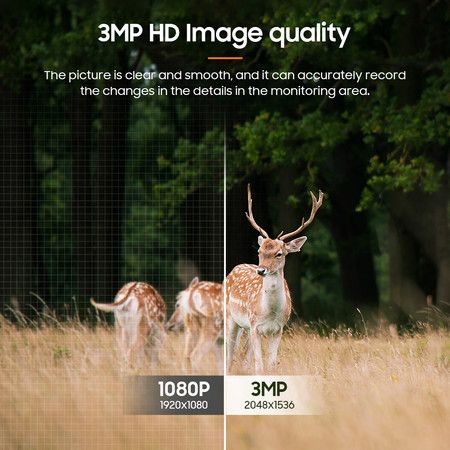 https://img.bestdeals.co.nz/products_pictures/851/85184_820873_F.jpg