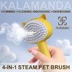 Cat Steam Brush for Shedding, 3 in 1 Steamy Cat Brush with Handle, Rubber Pet Misting Brush with Release Button (Yellow)