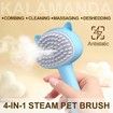 Cat Steam Brush for Shedding, 3 in 1 Steamy Cat Brush with Handle, Rubber Pet Misting Brush with Release Button (Blue)