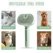 Spray Cat Brush for Shedding, Water Brush for Cats and Dogs, Pet Hair Removal Comb with Water Tank and Release Button (Green)