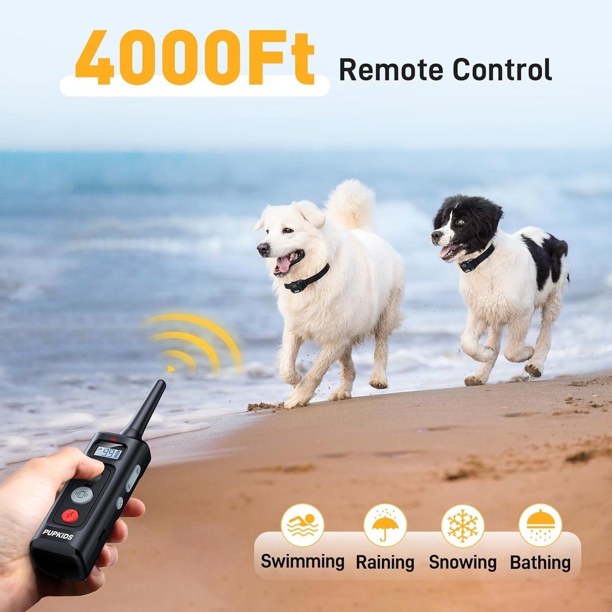 https://img.bestdeals.co.nz/products_pictures/853/85393_823317_F.jpg