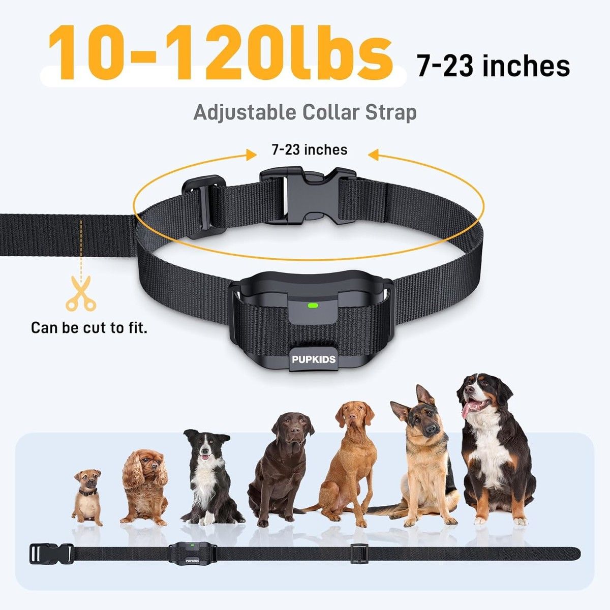 https://img.bestdeals.co.nz/products_pictures/853/85393_823326_F.jpg