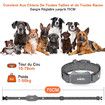 Dog Training Collar with Remote For 2 Dogs, Waterproof Dog Training Collar for Small Medium Large Dogs with Beep, Vibration and 16 Levels Static