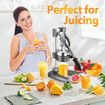 Manual Juicer Fruit Juice Lemon Squeezer Extractor Maker Orange Citrus Hand Press Machine Commercial Home Kitchen Lime Apple Presser Grey