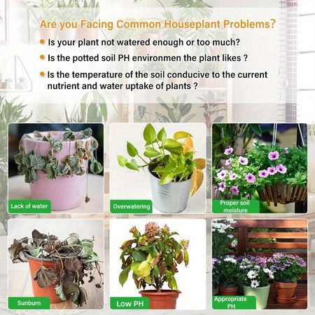 https://img.bestdeals.co.nz/products_pictures/856/85601_825785_F.jpg