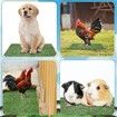 6Pcs Chicken Nesting Pads Artificial Grass Mat Chickens Nesting Box Pads Rug Carpet Synthetic Turf Mat Pet Training Grass for Egg Chicken Coop
