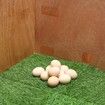 6Pcs Chicken Nesting Pads Artificial Grass Mat Chickens Nesting Box Pads Rug Carpet Synthetic Turf Mat Pet Training Grass for Egg Chicken Coop