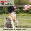 Smart Interactive Dog Toys Ball, Auto Bouncing Rotating Ball, Moving Pet Toys for Dogs 20 lbs, USB Rechargeable, Fun Gift for Boredom, 1 Pack, Pink