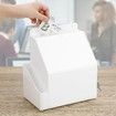 Acrylic Suggestion Box with Lock Wall Mounted Acrylic Donation Box with Sign Slot Office Ballot Box with Side-Pocket Locking Mailbox,White