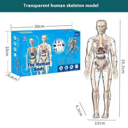 https://img.bestdeals.co.nz/products_pictures/859/85954_829919_F.jpg