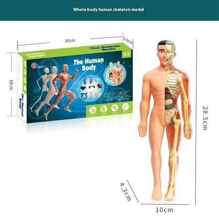 https://img.bestdeals.co.nz/products_pictures/859/85955_829938_F.jpg