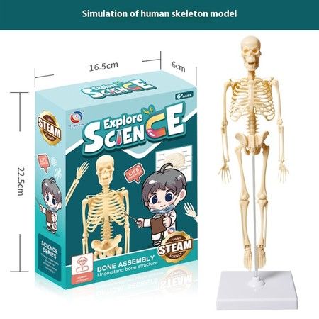 https://img.bestdeals.co.nz/products_pictures/859/85956_829932_F.jpg