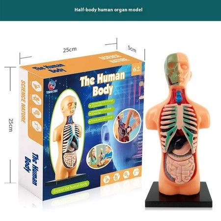 https://img.bestdeals.co.nz/products_pictures/859/85957_829944_F.jpg