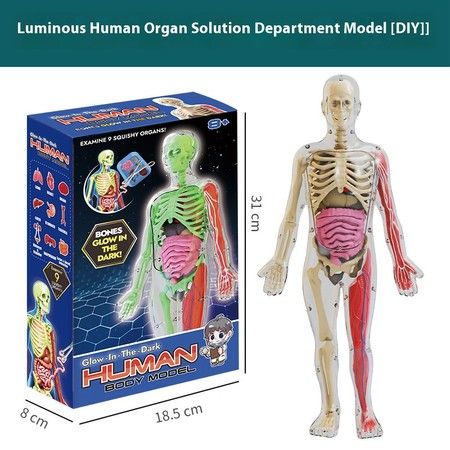 https://img.bestdeals.co.nz/products_pictures/859/85958_829945_F.jpg