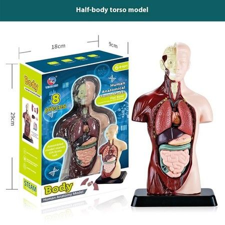 https://img.bestdeals.co.nz/products_pictures/859/85959_829962_F.jpg