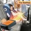 Portable Car Heater,12V 200W Fast Heating Defroster 2 in 1 Automobile Windshield Fast Heaters Car Heater That Plugs into Cigarette Lighter (Orange)