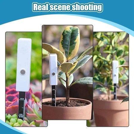 https://img.bestdeals.co.nz/products_pictures/861/86106_831210_F.jpg