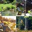 Solar Air Pump Hydroponics Air Pump, Solar Powered Pond Bubbler for Outdoor Fish Pond Stock Tank Aquarium