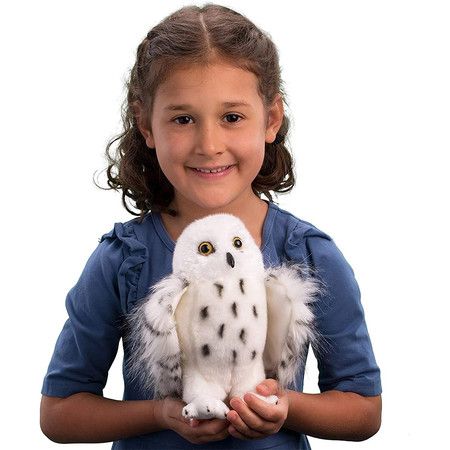 https://img.bestdeals.co.nz/products_pictures/862/86271_833057_F.jpg