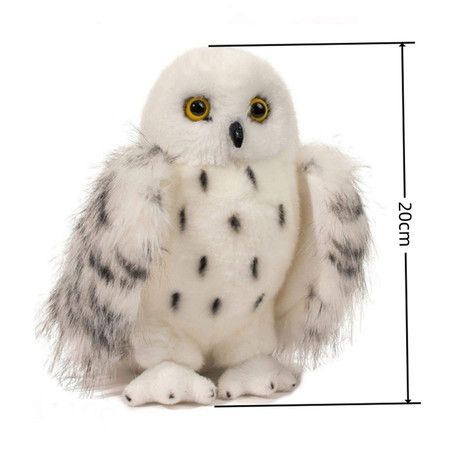 https://img.bestdeals.co.nz/products_pictures/862/86271_833059_F.jpg