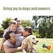 Treat Dispensing Puzzle Toys for Small Dogs,Interactive Chase Toys,Perfect Alternative to Slow Feeder Dog Bowls to Improves Pets Digestion