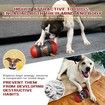 Interactive Dog Toys Food Treat Dispenser for Dogs Slow Feeding for Large/Medium/Small Aggressive Chewers Promotes Healthy Eating Habit-Red