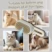 Self Cleaning 3 in 1 Pet Brush,Steam Cat & Dog Brush for Shedding & Grooming (Grey)