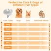 3 in 1 Cat Steam Brush,Pet Spray Hair Removal Comb for Shedding & Grooming,Water Brush for Cats Dogs Small Animals Long Short Hair (White)