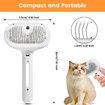 3 in 1 Cat Steam Brush,Pet Spray Hair Removal Comb for Shedding & Grooming,Water Brush for Cats Dogs Small Animals Long Short Hair (White)