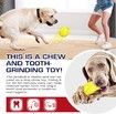 Dino Egg-Shaped Slow Feeder Dog Toy - Interactive Treat Dispenser Tough Chew Toys for Dogs Color Yellow
