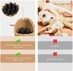 Dino Egg-Shaped Slow Feeder Dog Toy - Interactive Treat Dispenser Tough Chew Toys for Dogs Color Brown
